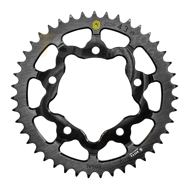 Sitta Piñón de aluminio Aprilia RSV4/1100 Factory/R/RR/RF (09-25) (202P) – 37-48 dientes, paso 525 