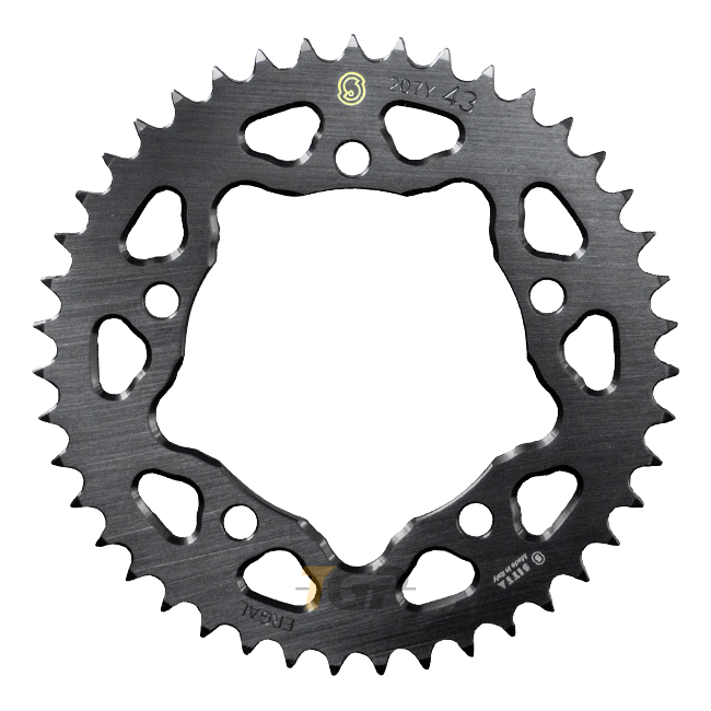 Sitta rueda dentada de aluminio BMW M1000RR K66 (21-25) (207Y) – 37-47 dientes, paso 520 