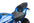 Carcasa adicional trasera Puig Suzuki GSX-R 1000 (17-23) 