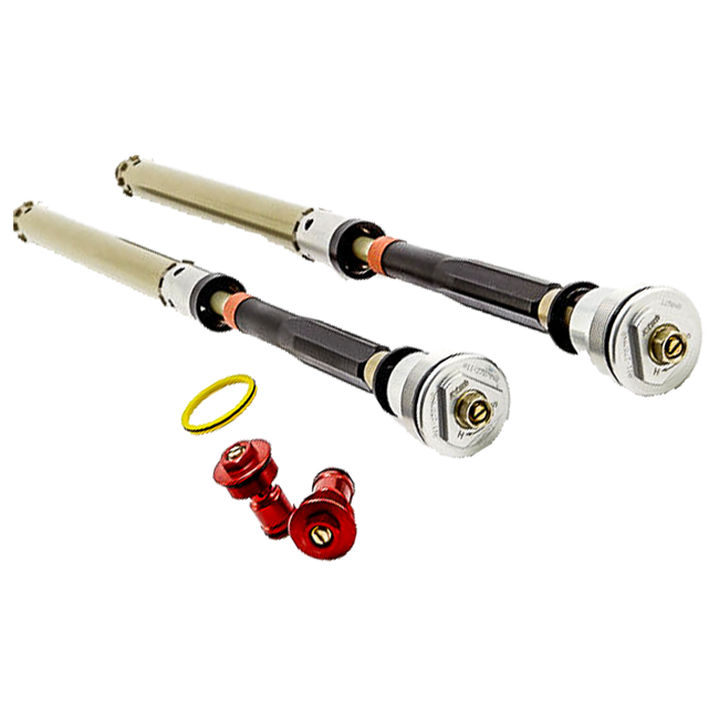 K-Tech 25IDS Kit de Cartucho Abierto BMW S1000RR K46 (09-14) 125-011-030-020 