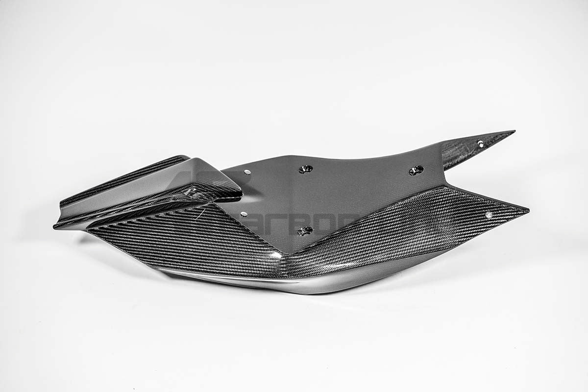 Carénage trasero 200g AP Carbon Line Aprilia RSV4/RR/1100 Factory (21-25) 