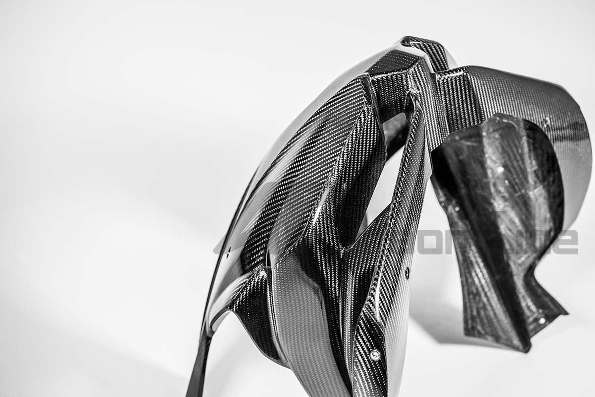 Carcasa delantera 200g AP Carbon Line Aprilia RSV4/RR/1100 Factory (21-25) 