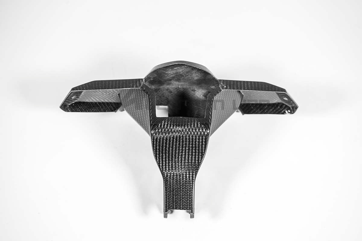 Soporte de instrumentos 200g AP Carbon Line Aprilia RSV4/RR/1100 Factory (21-25) 