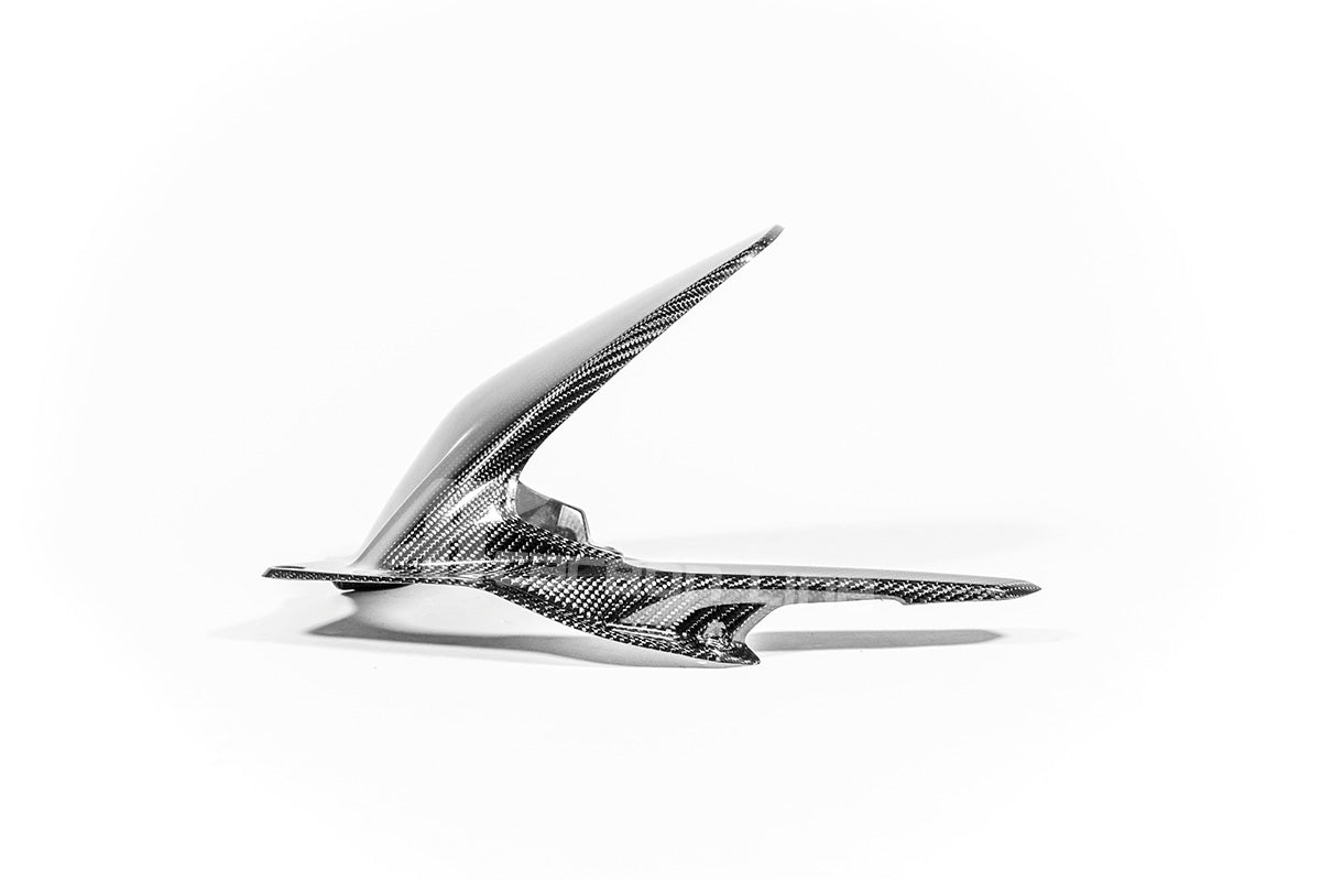 Guardabarros trasero 200g AP Carbon Line Ducati Panigale V4/S (2025) 