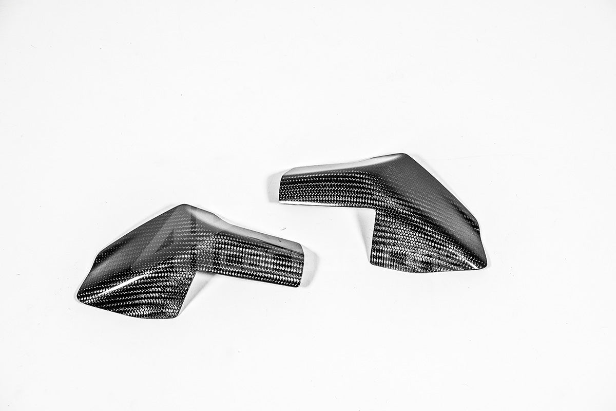 Protección de tanque Protectores 200g AP Carbon Line Ducati Panigale V4/S (2025) 