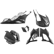 Conjunto de carenado frontal "Race" de carbono para BMW S1000RR K67 (19-22) Fullsix 