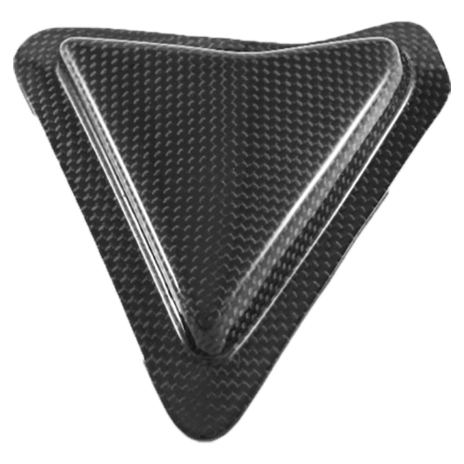 Protección de basculante deslizante de carbono Fullsix para Ducati Panigale V2 955 (20-24) 