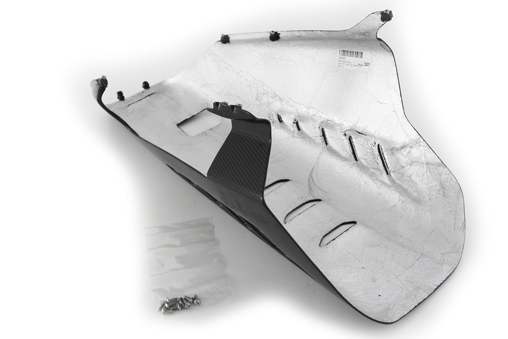 Spoiler de bicho Street Carbon Fullsix Ducati Panigale V4/S (2025) 