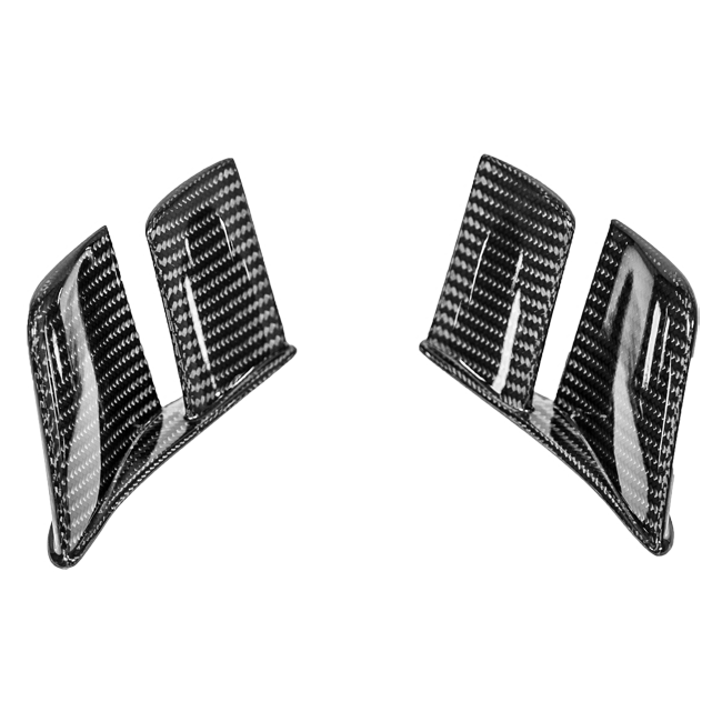 Aletas traseras MotoGP 200g AP Carbon Line Ducati Panigale V4/S/R (25-26) 