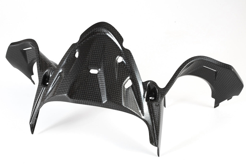 Cubierta de instrumentos de carbono Fullsix Ducati Panigale 1199/R/S (12-17) 