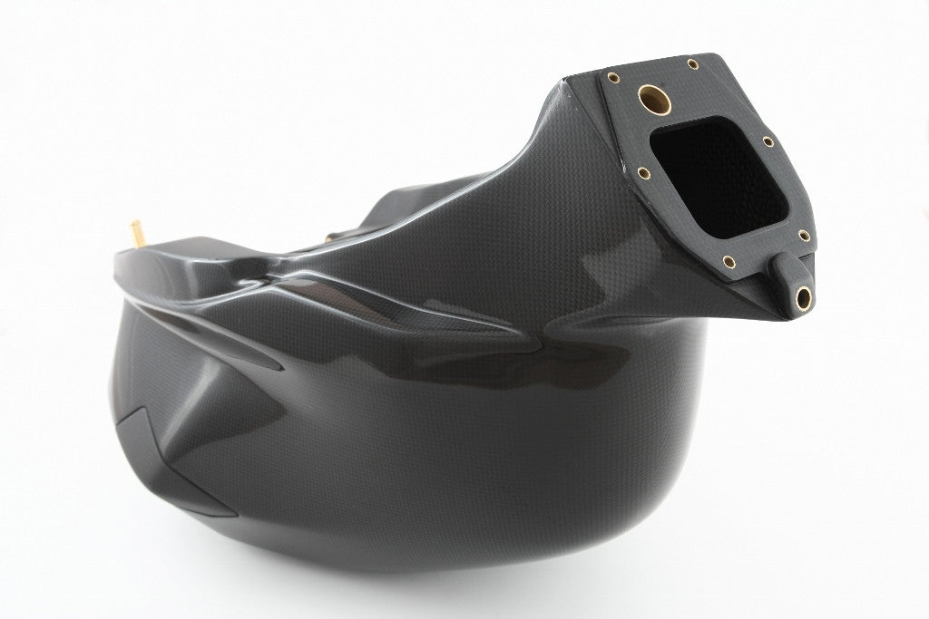 Depósito de combustible de carbono de 25 l "EWC" Fullsix Ducati Panigale 959 (16-19) 