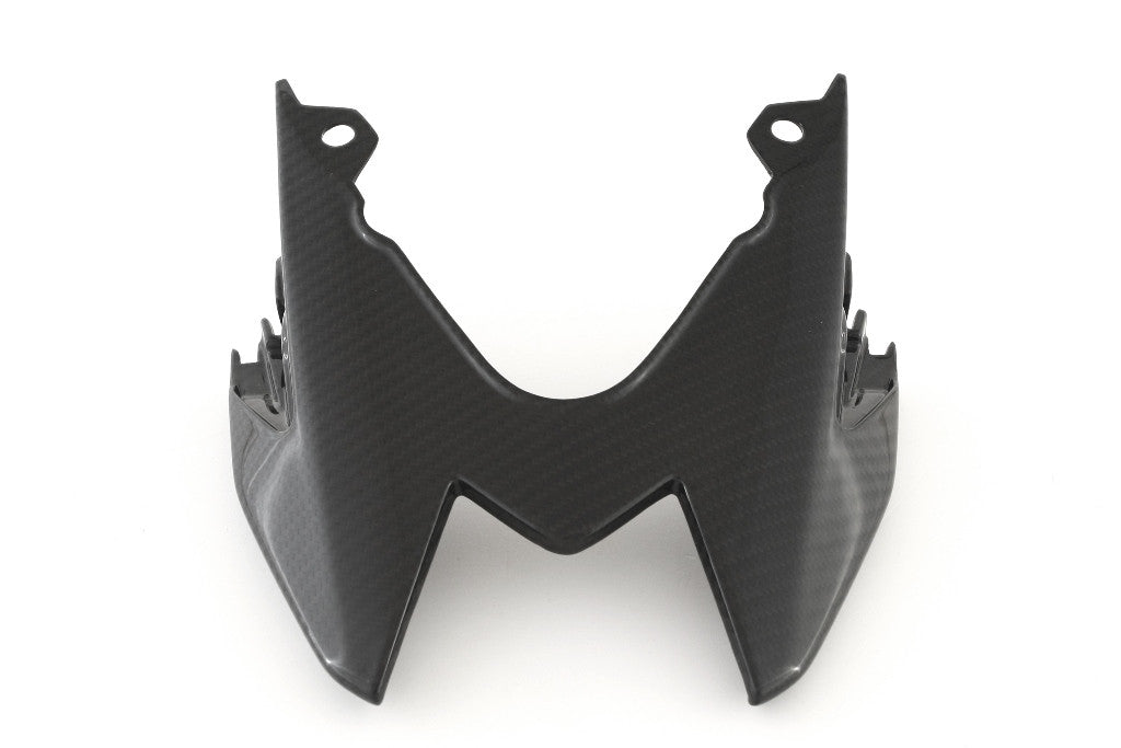 Cubierta superior trasera de carbono Fullsix BMW S1000RR K46 (15-18) 