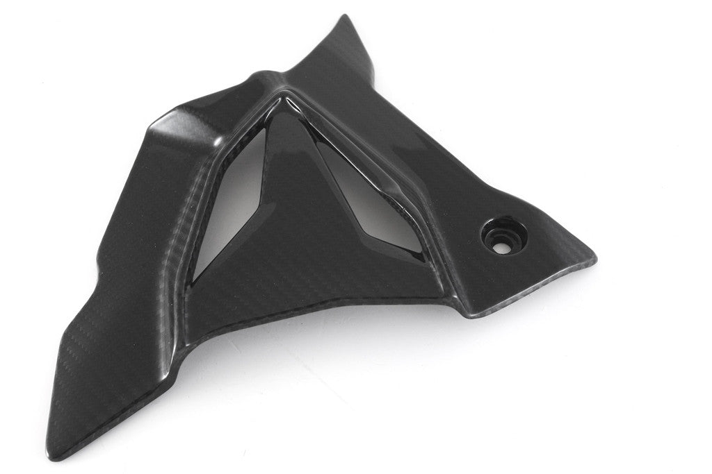 Cubierta de piñón de carbono Fullsix BMW S1000RR K67 (19-25) 
