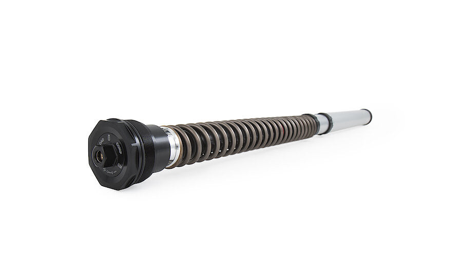 Kit de cartucho Öhlins NIX 30 FGK 229 Ducati Panigale 899 (13-16) 