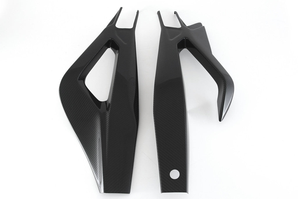 Cubierta de basculante de carbono Fullsix BMW S1000RR K67 (19-25) 