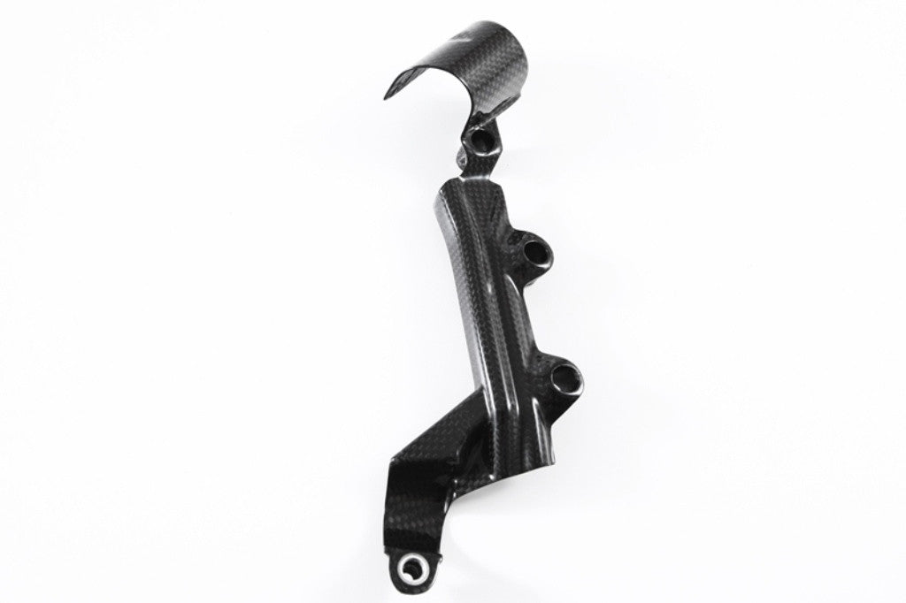 Cubre cilindro de freno trasero de carbono Fullsix Ducati Panigale 1299/S (15-18) 