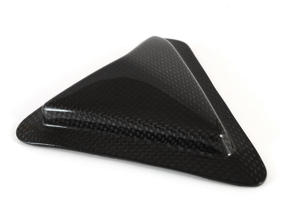 Slider de protección del basculante de carbono Fullsix para Ducati Panigale 1299/S (15-18) 